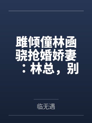 办公室的小盈封面