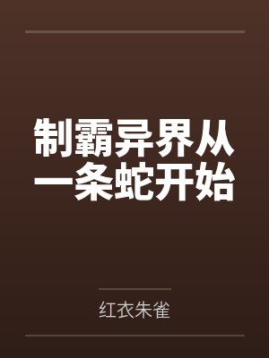 护心封面